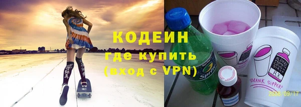 хмурый Арсеньев