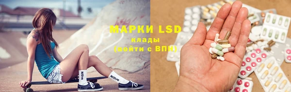 хмурый Арсеньев