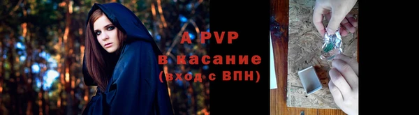 хмурый Арсеньев