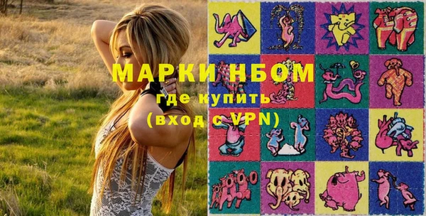 хмурый Арсеньев