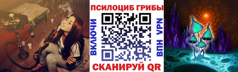 Псилоцибиновые грибы GOLDEN TEACHER  блэк спрут онион  Шарья 